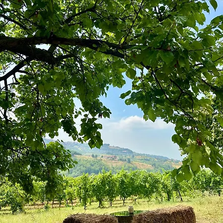 Cascina Piandamiane, Dimore Di Langa - Carlo, Nella Natura Delle Langhe