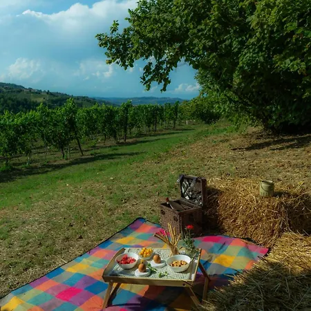 Cascina Piandamiane, Dimore Di Langa - Carlo, Nella Natura Delle Langhe * Rodello