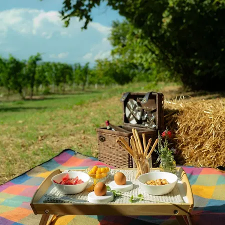Cascina Piandamiane, Dimore Di Langa - Carlo, Nella Natura Delle Langhe * Rodello