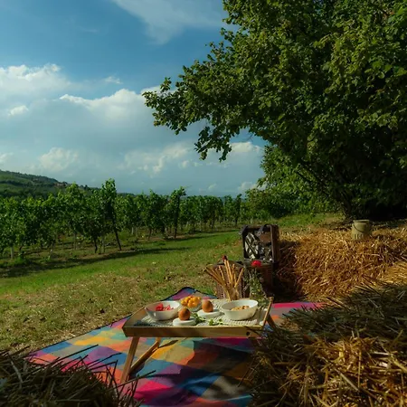 Cascina Piandamiane, Dimore Di Langa - Carlo, Nella Natura Delle Langhe 아파트 *